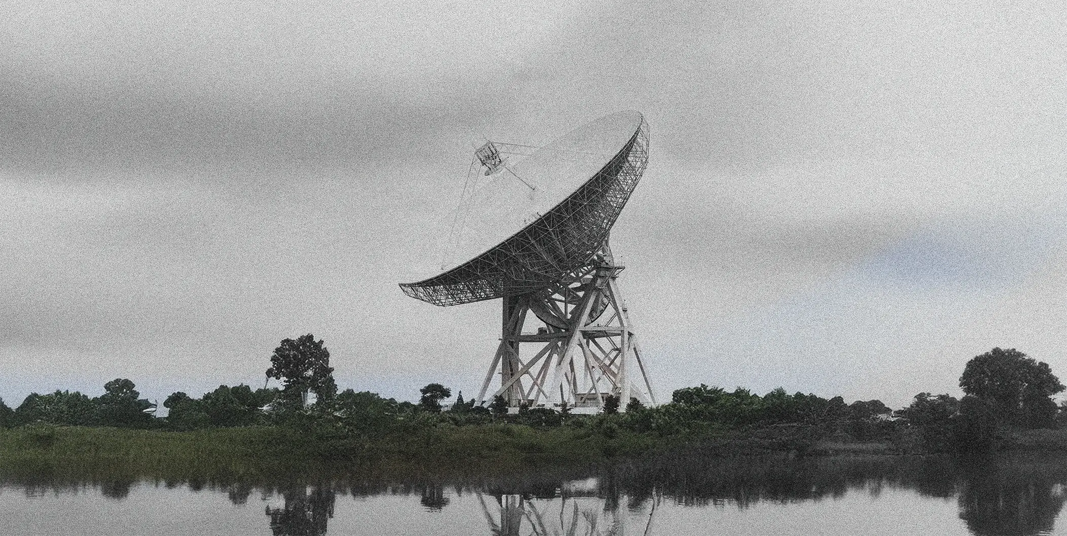 An eye-catching landscape of green.